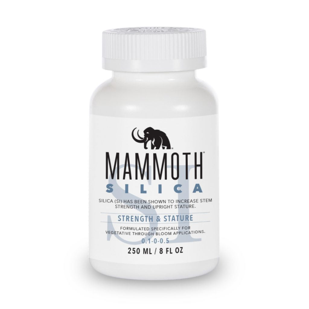 Mammoth Silica 250 mL / 500 mL / 1 L / 3.78 L